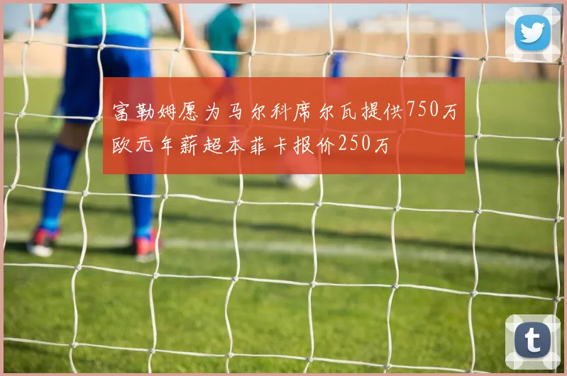 富勒姆愿为马尔科席尔瓦提供750万欧元年薪超本菲卡报价250万